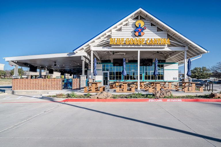 Blue Goose